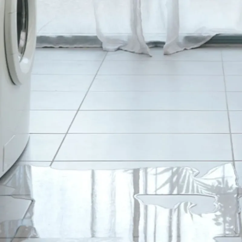 Appliance Leak Cleanup in Trophy Club, TX
