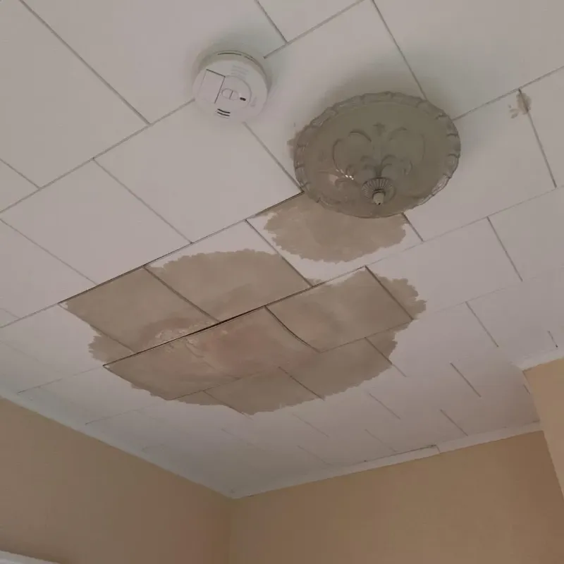 Ceiling Water Damage Repair in Trophy Club, TX