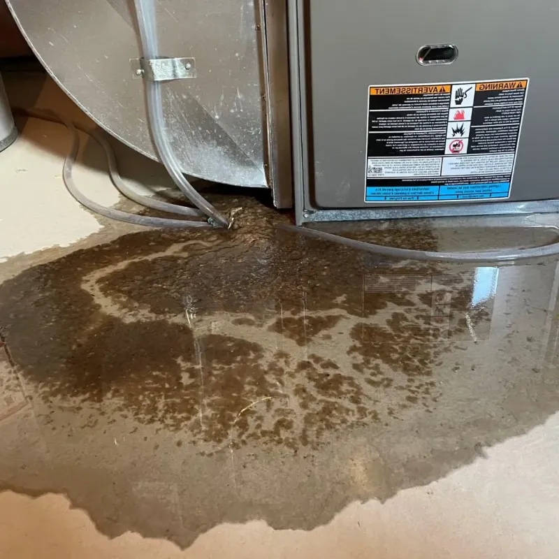 Pipe Burst and Leak Restoration in Trophy Club, TX
