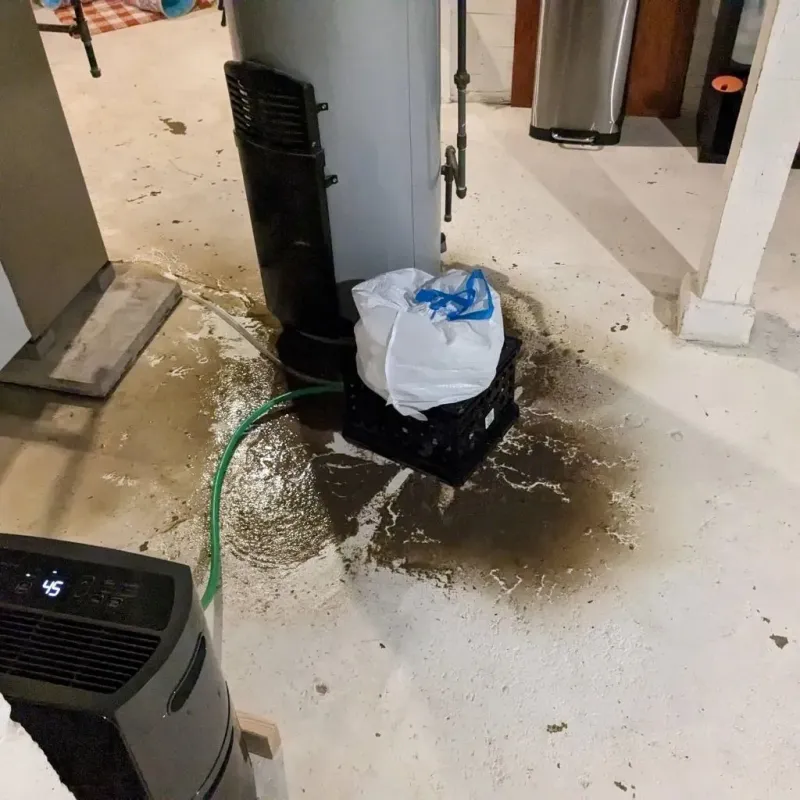 Sewage Backup Cleanup Service in Trophy Club, TX